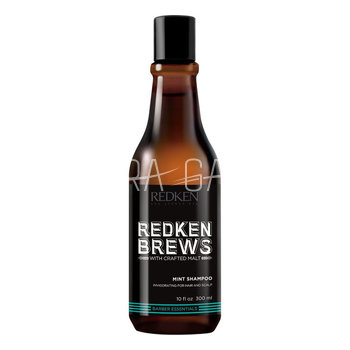 REDKEN        Brews Mint